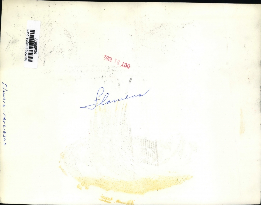 1962 Press Photo Narcissus flowers spa69577 Historic Images