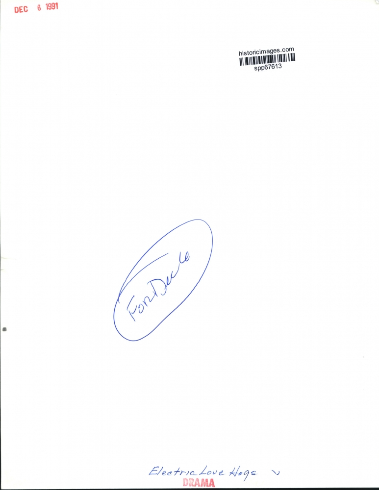 1991 Electric Love Hogs Rock Band Historic Images