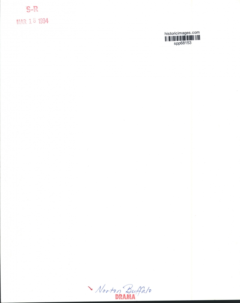 1994 Norton Buffalo Historic Images